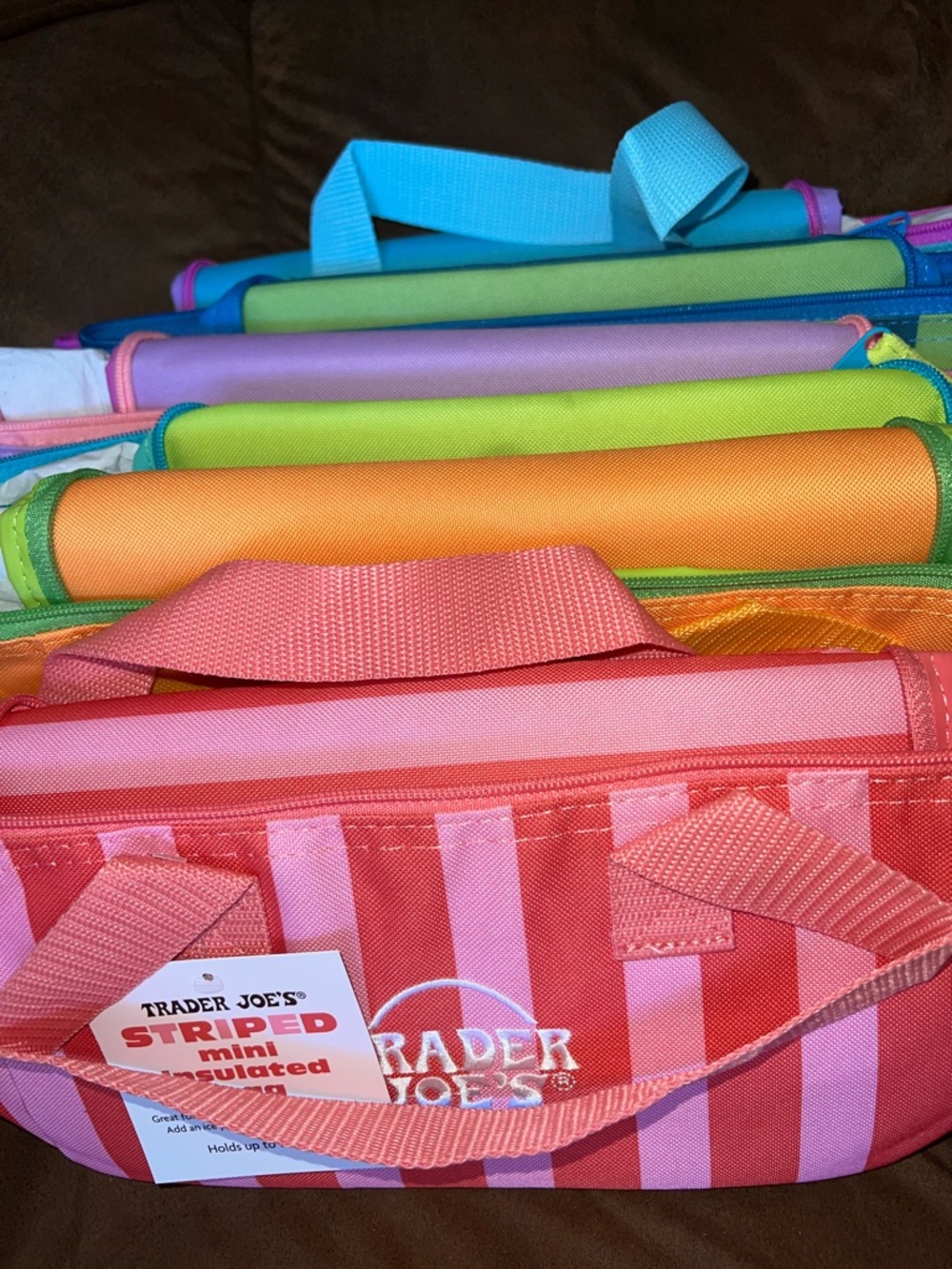 Trader Joe’s Mini Insulated Cooler set of 6